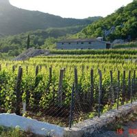 Элитная недвижимость у озера в Черногории, Бар, Добра Вода, 700 кв.м.