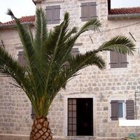 House at the seaside in Montenegro, Kotor, Perast, 240 sq.m.