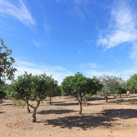 Вилла в Испании, Валенсия, Хавеа, 119 кв.м.