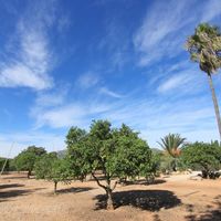 Вилла в Испании, Валенсия, Хавеа, 119 кв.м.