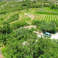 Вилла в Испании, Валенсия, Бенитачель, 330 кв.м.