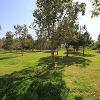 Апартаменты у моря в Турции, Аланья, 125 кв.м.