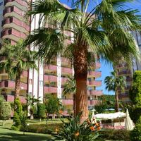 Апартаменты у моря в Турции, Аланья, 130 кв.м.