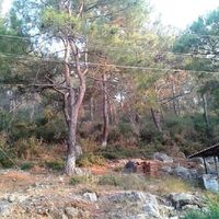 Апартаменты в пригороде, у моря в Турции, Аланья, 120 кв.м.