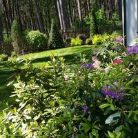 House in Latvia, Jurmala, Bulluciems, 276 sq.m.