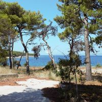 Land plot in Croatia