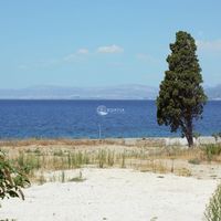 Land plot in Croatia