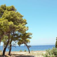 Land plot in Croatia