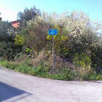 Land plot in Croatia, Ciovo