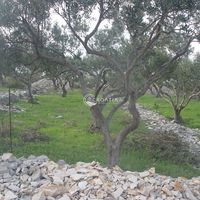 Земельный участок в Хорватии