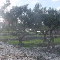 Земельный участок в Хорватии