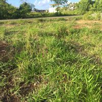 Land plot at the seaside in Dominican Republic, Sosua