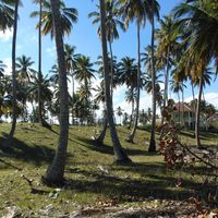 Земельный участок у моря в Доминиканской Республике, Кабарете