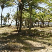 Land plot at the seaside in Dominican Republic, Cabarete