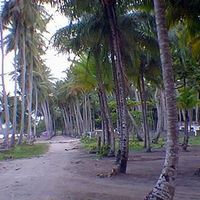 Земельный участок у моря в Доминиканской Республике, Кабарете