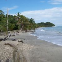 Земельный участок у моря в Доминиканской Республике, Кабарете