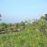 Land plot in the suburbs in Dominican Republic, Cabarete