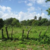 Земельный участок у моря в Доминиканской Республике, Кабарете