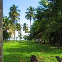 Земельный участок у моря в Доминиканской Республике, Кабарете