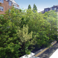 Flat in Germany, Munich, 131 sq.m.