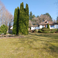 Land plot in Germany