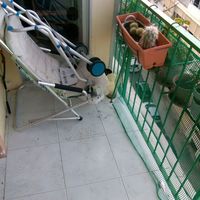 Flat in the big city, at the seaside in Spain, Comunitat Valenciana, Alicante, 80 sq.m.