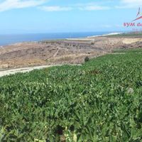 Земельный участок в Испании, Канарские Острова, Санта-Крус-де-Тенерифе