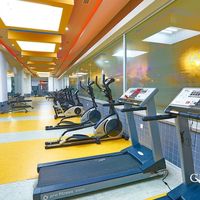 Пентхаус в большом городе, у моря в Турции, Аланья, 250 кв.м.