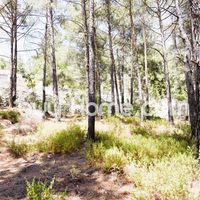 Апартаменты в горах на Кипре, Лимасол, 180 кв.м.