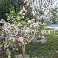 Апартаменты на Кипре, Ларнака, 270 кв.м.