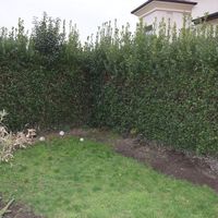 Flat in Italy, Como, 90 sq.m.