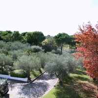 Villa in the forest, at the seaside in Italy, Abruzzo, 600 sq.m.