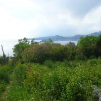 Land plot in the suburbs in Montenegro, Budva, Przno