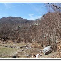 Land plot in the mountains in Montenegro, Cetinje