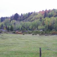 Land plot in Montenegro, Zabljak