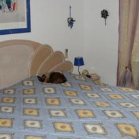 Villa in Spain, Comunitat Valenciana, Calp, 169 sq.m.