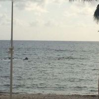 Apartment in Spain, Comunitat Valenciana, Altea, 170 sq.m.