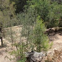 Villa in Spain, Comunitat Valenciana, Altea, 200 sq.m.