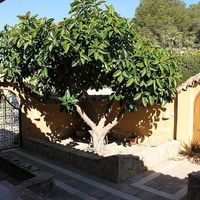 Villa in Spain, Comunitat Valenciana, Altea, 509 sq.m.