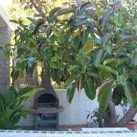 Вилла в Испании, Валенсия, Альтеа, 160 кв.м.