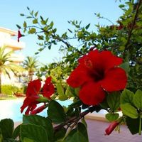Apartment in Spain, Comunitat Valenciana, Denia, 84 sq.m.
