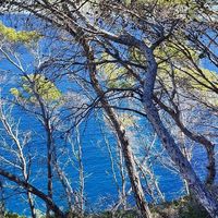 Villa in Spain, Comunitat Valenciana, Javea, 295 sq.m.