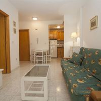 Квартира в большом городе, у моря в Испании, Валенсия, Торревьеха, 45 кв.м.