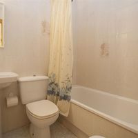 Квартира в большом городе, у моря в Испании, Валенсия, Торревьеха, 45 кв.м.