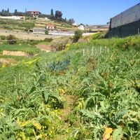 Land plot at the seaside in Italy, Bordighera