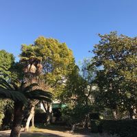 Villa at the seaside in Italy, San Remo, 450 sq.m.