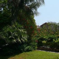 Villa at the seaside in Italy, San Remo, 110 sq.m.