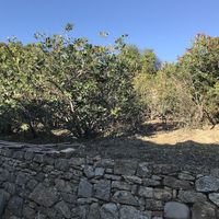 Land plot at the seaside in Italy, San Remo