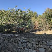 Land plot at the seaside in Italy, San Remo