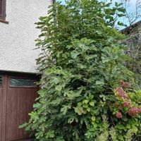 House in the mountains in Italy, Savona, 270 sq.m.